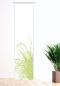 Preview: Flächenvorhang Reed24 Apfel L blanco  Schiebevorhang, Schiebegardine, modern, 60 cm breit, 2,65 m hoch, 3 m hoch